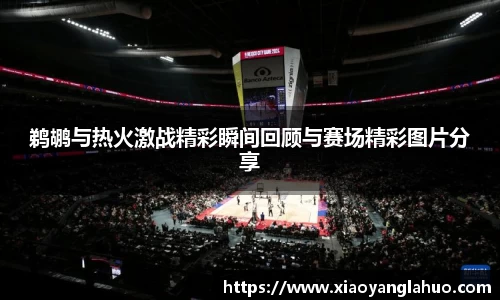 鹈鹕与热火激战精彩瞬间回顾与赛场精彩图片分享